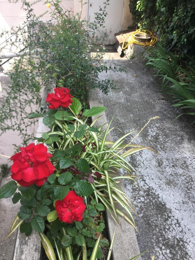 Les Palmiers Niceairport, Beach200M, 2Bedrooms, Wifi Optic Ngoại thất bức ảnh
